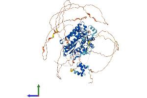 AlphaFold protein structure predicition of Human Recombinant CBL Protein, UniprotID P22681