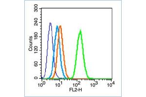 HL-60 cells probed with Insulin Receptor alpha Antibody, unconjugated  at 1:100 dilution for 30 minutes compared to control cells (blue) and isotype control (orange) (ISR-alpha anticorps  (AA 701-760))