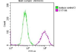 Overlay histogram showing A549 cells stained with ABIN7127602 (red line) at 1:50.