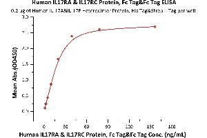 Immobilized Human IL-17A&IL-17F Heterodimer Protein, His Tag&Strep II Tag (ABIN5674631,ABIN6253676,ABIN6809985) at 2 μg/mL (100 μL/well) can bind Human IL17RA & IL17RC Protein, Fc Tag&Fc Tag (ABIN6973108) with a linear range of 1-20 ng/mL (QC tested).
