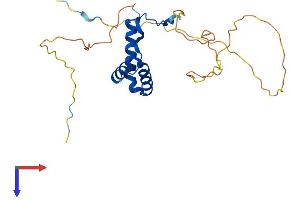 AlphaFold protein structure predicition of Mouse Recombinant Sox15 Protein, UniprotID P43267