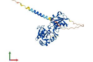 AlphaFold protein structure predicition of Human Recombinant FUT5 Protein, UniprotID Q11128