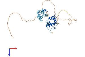 AlphaFold protein structure predicition of Mouse Recombinant Ehf Protein, UniprotID O70273