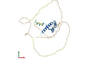 AlphaFold protein structure predicition of Mouse Recombinant Hoxa9 Protein, UniprotID P09631