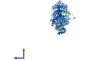 AlphaFold protein structure predicition of Human Recombinant MYO1G Protein, UniprotID B0I1T2