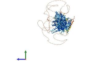 AlphaFold protein structure predicition of Mouse Recombinant Thoc2 Protein, UniprotID B1AZI6