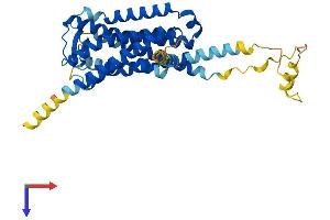 AlphaFold protein structure predicition of Mouse Recombinant Gpr85 Protein, UniprotID P60894