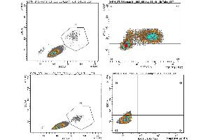 Anti-Human IL-6 Antibody - Flow Cytometry Human PBMCs were stimulated with 1ug/mL LPS and a transport inhibitor for 4-5 hours. (IL-6 anticorps)