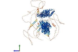 AlphaFold protein structure predicition of Human Recombinant CLASP2 Protein, UniprotID O75122