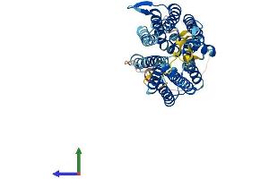 AlphaFold protein structure predicition of Human Recombinant SLC52A2 Protein, UniprotID Q9HAB3