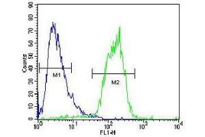 ACOT11 antibody flow cytometric analysis of human HepG2 cells (right histogram) compared to a negative control (left histogram).