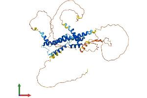 AlphaFold protein structure predicition of Human Recombinant PKNOX1 Protein, UniprotID P55347