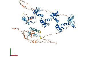 AlphaFold protein structure predicition of Human Recombinant ZNF343 Protein, UniprotID Q6P1L6