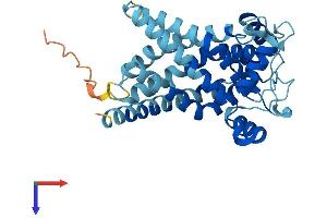 AlphaFold protein structure predicition of Mouse Recombinant Slc25a34 Protein, UniprotID A2ADF7