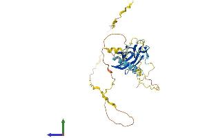 AlphaFold protein structure predicition of Mouse Recombinant Ppp1r8 Protein, UniprotID Q8R3G1