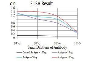 Black line: Control Antigen (100 ng),Purple line: Antigen (10 ng), Blue line: Antigen (50 ng), Red line:Antigen (100 ng) (ATL1 anticorps  (AA 1-100))