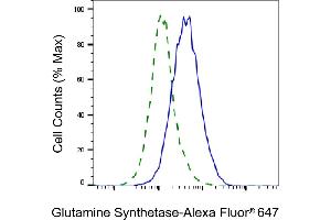 Validation of Glutamate-ammonia ligase knockdown using flow cytometry.