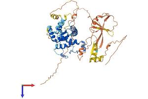 AlphaFold protein structure predicition of Human Recombinant NRF1 Protein, UniprotID Q16656