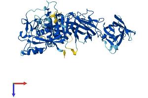 AlphaFold protein structure predicition of Human Recombinant CAPN6 Protein, UniprotID Q9Y6Q1