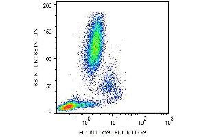 Surface staining of human peripheral blood cells with anti-CD11c (BU15) FITC.
