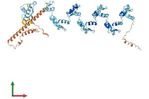 AlphaFold protein structure predicition of Human Recombinant ZNF98 Protein, UniprotID A6NK75