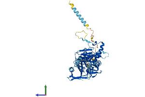 AlphaFold protein structure predicition of Human Recombinant B4GALNT1 Protein, UniprotID Q00973