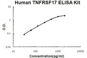 Human TNFRSF17/BCMA Accusignal ELISA Kit Human TNFRSF17/BCMA AccuSignal ELISA Kit standard curve.