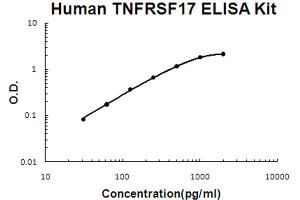 Human TNFRSF17/BCMA Accusignal ELISA Kit Human TNFRSF17/BCMA AccuSignal ELISA Kit standard curve. (BCMA Kit ELISA)