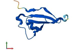 AlphaFold protein structure predicition of Human Recombinant CKS2 Protein, UniprotID P33552