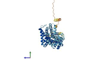 AlphaFold protein structure predicition of Mouse Recombinant Slc7a5 Protein, UniprotID Q9Z127