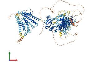 AlphaFold protein structure predicition of Human Recombinant KCNU1 Protein, UniprotID A8MYU2