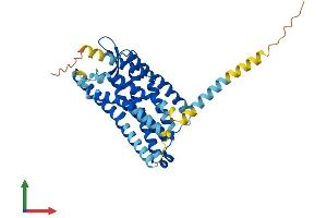 AlphaFold protein structure predicition of Mouse Recombinant Fpr-s1 Protein, UniprotID O08790