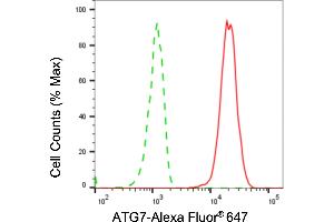 Flow cytometric analysis of ATG7 expression in HepG2 cells using ATG7 antibody (ABIN7797675), 1:2,000). (Recombinant ATG7 anticorps)