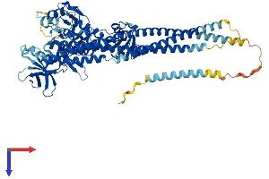 AlphaFold protein structure predicition of Human Recombinant IKBKE Protein, UniprotID Q14164