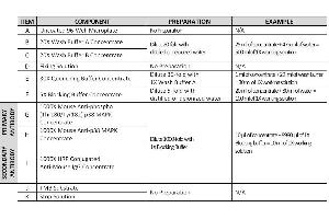 This picture shows the reagent preparation.