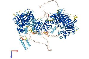 AlphaFold protein structure predicition of Mouse Recombinant Dip2a Protein, UniprotID Q8BWT5