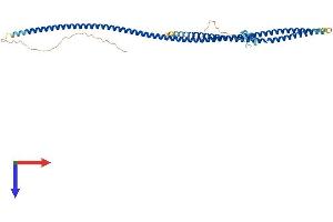 AlphaFold protein structure predicition of Human Recombinant IKBKG Protein, UniprotID Q9Y6K9