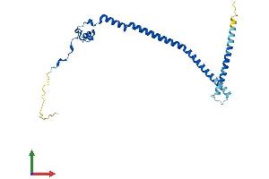 AlphaFold protein structure predicition of Mouse Recombinant Gadd45gip1 Protein, UniprotID Q9CR59