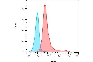 Surface staining of CD161 in rat splenocytes with anti-CD161 (10/78) PE.
