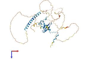 AlphaFold protein structure predicition of Human Recombinant WWTR1 Protein, UniprotID Q9GZV5