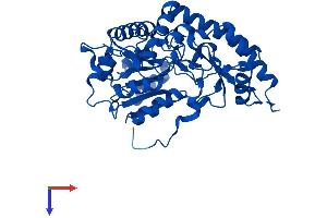 AlphaFold protein structure predicition of Human Recombinant AGXT Protein, UniprotID P21549