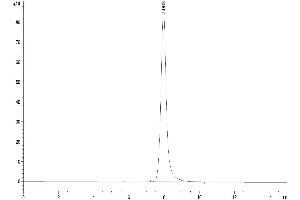 Size-exclusion chromatography-High Pressure Liquid Chromatography (SEC-HPLC) image for NKG2A & CD94 protein (His-Avi Tag) (ABIN7275328)