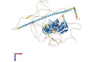 AlphaFold protein structure predicition of Mouse Recombinant Mink1 Protein, UniprotID Q9JM52