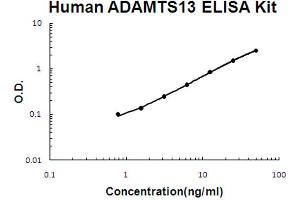 Human ADAMTS13 Accusignal ELISA Kit Human ADAMTS13 AccuSignal ELISA Kit standard curve.