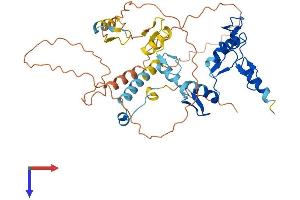 AlphaFold protein structure predicition of Human Recombinant ZNF552 Protein, UniprotID Q9H707