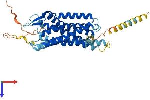 AlphaFold protein structure predicition of Human Recombinant SSTR2 Protein, UniprotID P30874