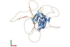 AlphaFold protein structure predicition of Mouse Recombinant Ppm1e Protein, UniprotID Q80TL0