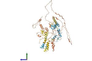 AlphaFold protein structure predicition of Mouse Recombinant Hic1 Protein, UniprotID Q9R1Y5