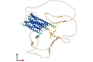 AlphaFold protein structure predicition of Mouse Recombinant Gpr153 Protein, UniprotID Q8K0Z9
