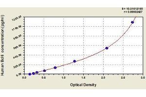 Typical standard curve (BCL6 Kit ELISA)